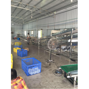 江西南昌-全自動(dòng)河粉機客戶(hù)感言